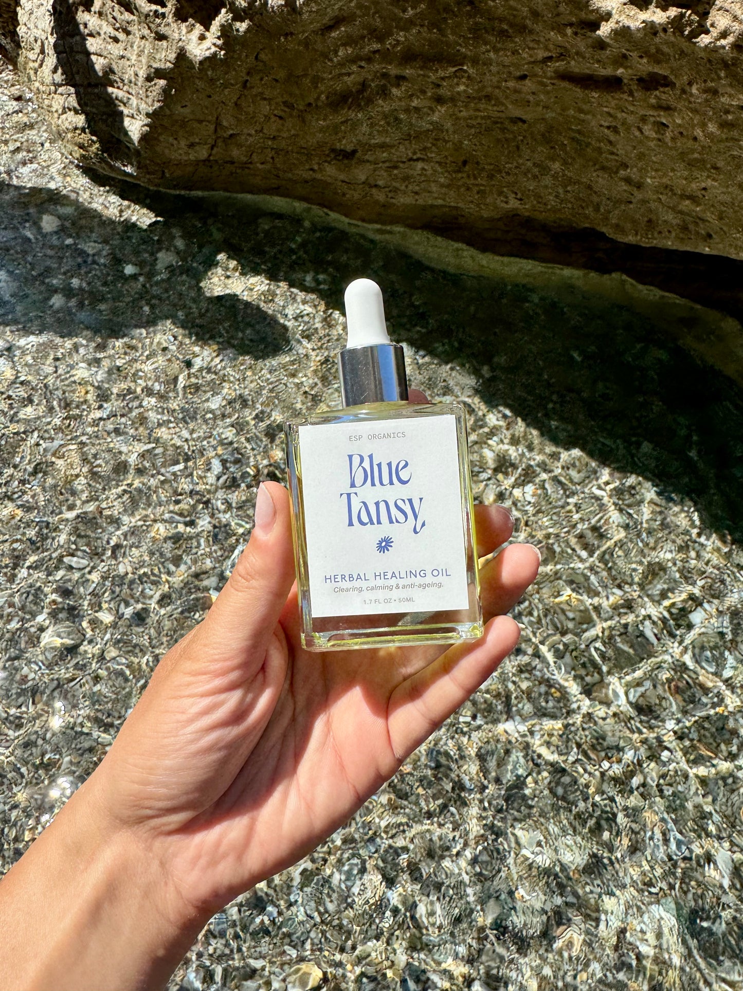 Blue Tansy Herbal Healing Oil