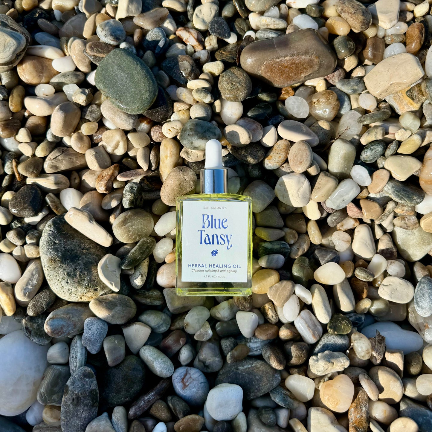 Blue Tansy Herbal Healing Oil