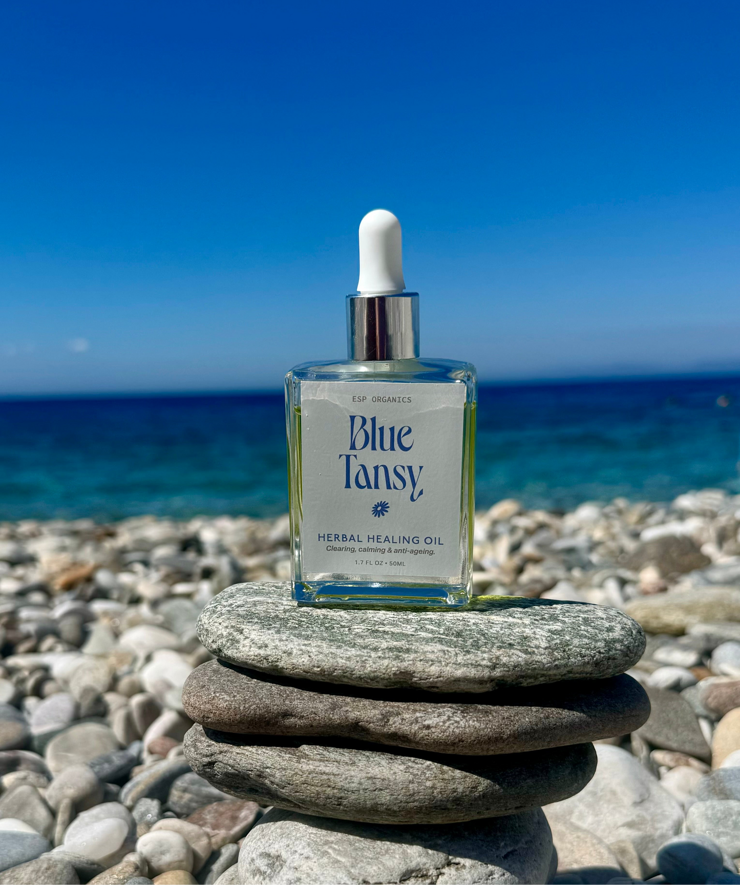 Blue Tansy Herbal Healing Oil