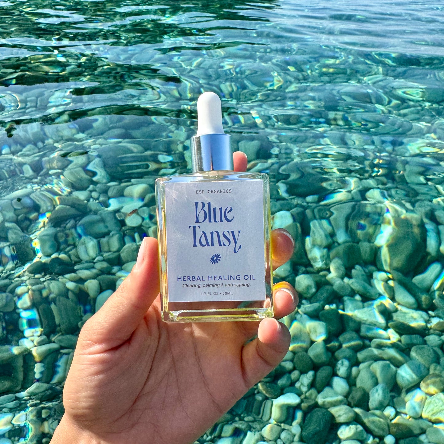 Blue Tansy Herbal Healing Oil