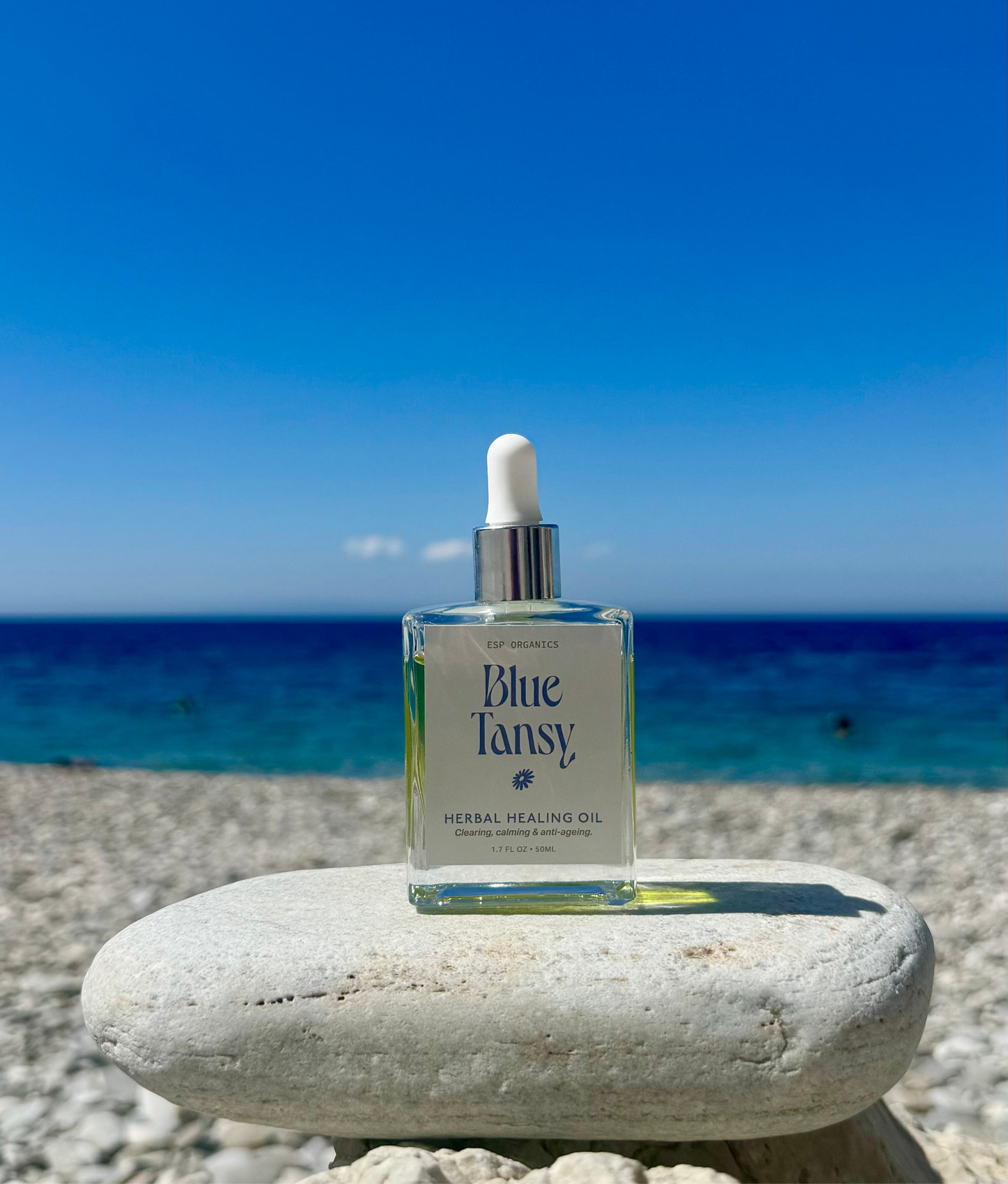 Blue Tansy Herbal Healing Oil