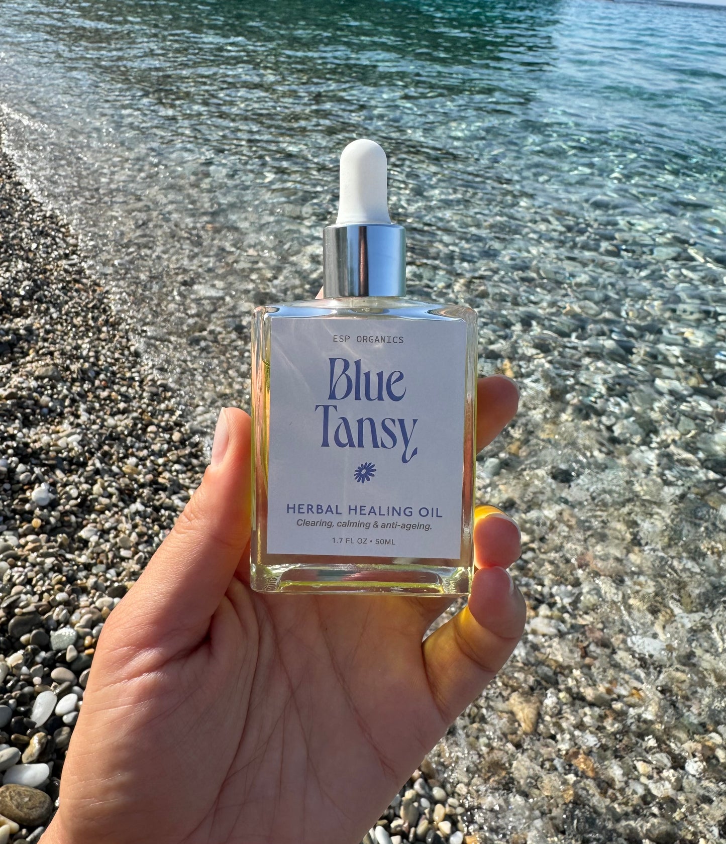 Blue Tansy Herbal Healing Oil