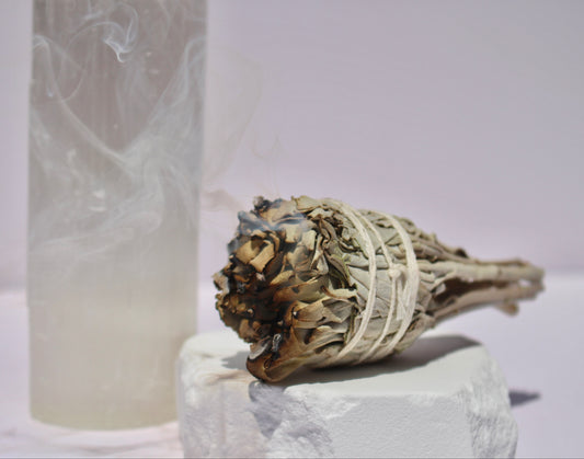 Organic White Sage Stick (11x3cm) Californian