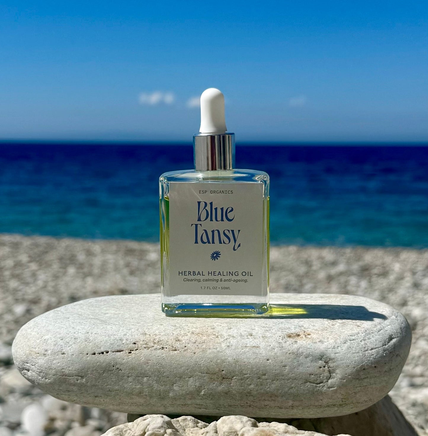 Blue Tansy Herbal Healing Oil