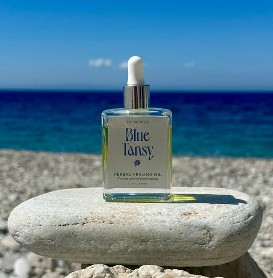 Blue Tansy Herbal Healing Oil